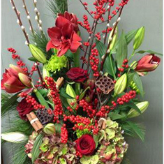 Christmas Wonder in Vase