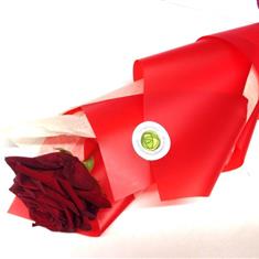 Single Red Rose