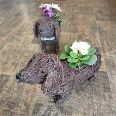 Dog planter