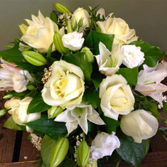 Demeter Libby Ferris Flowers Norwich Florist